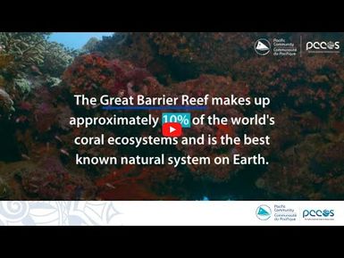 Ocean Science Fact: The Great Barrier Reef