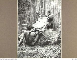 1943-08-10. NEW GUINEA. MOUNT TAMBU FIGHTING. EVACUATING WOUNDED DOWN A SLOPE OF ALMOST ONE IN ONE. (NEGATIVE BY G. SHORT)
