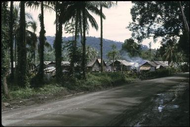 Arawa village : Bougainville Island, Papua New Guinea, April 1971 / Terence and Margaret Spencer