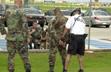 US Air Force (USAF) STAFF Sergeant (SSGT) Ryan Purvis (background) a Military Working Dog handler assigned to the 36th Security Forces Squadron (SFS) and his dog Benno, keep watch as an individual is apprehended during a training exercise at Andersen Air Force Base (AFB), Guam. USAF SSGT Todd Bunnenberg (left), 36th Medical Group (MG), looks on and USAF SENIOR AIRMAN (SRA) Daniel O'Hannon, 36th SFS, is the arresting Officer