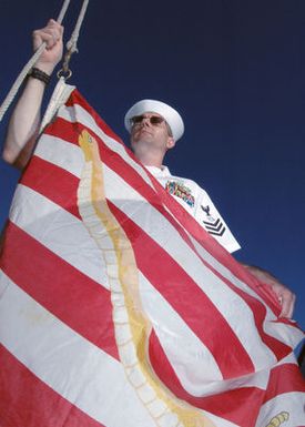 U.S. Navy Operations SPECIALIST 1ST Class Stephen Cornell, an anti-submarine tactical controller onboard the Oliver Hazard Perry Class Guided Missile Frigate USS RUEBEN JAMES (FFG 57) homeported at Naval Station Pearl Harbor, Hawaii, prepares to raise the Navy Jack during morning colors on Aug. 31, 2006. Since May 2002, all U.S. Navy ships have flown the Navy Jack from 8 a.m. to sunset daily while in port. The temporary substitution for the Union Jack represents a historic reminder of the nation's and Navy's origin and the will to persevere and triumph during the Global War On Terrorism. (U.S. Navy photo by Mass Communication SPECIALIST 1ST Class James E. Foehl) (Released)