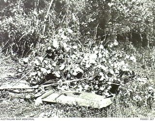 NEW BRITAIN, 1945-09. TAIL ASSEMBLY OF A CRASHED VOUGHT F4U CORSAIR AIRCRAFT IN THE RABAUL/GAZELLE PENINSULA AREA. (RNZAF OFFICIAL PHOTOGRAPH.)