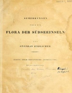 Bemerkungen über die flora der Südseeinseln