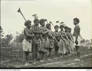 NEW GUINEA. 1943-12-22. NATIVE WORKERS ON PARADE WITH THE HOME-MADE HOES IN USE IN THE RAAF VEGETABLE GARDEN