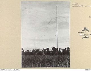 LAE AREA, NEW GUINEA, 1945-06-15. IMPROVISED AERIAL MASTS AT 19 L OF C SIGNALS. THIS SHOWS THE METHOD OF GUYING THE MASTS WHICH ARE FORMED FROM SECTIONAL STEEL TELEGRAPH POLES AT THE CORPS OF ..