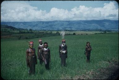 On Hallstrom Trust, looking across to Kubor Range : Wahgi Valley, Papua New Guinea, 1954 and 1955 / Terence and Margaret Spencer