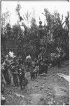 Pig festival, pig sacrifice, Tsembaga: men on ritual fence call names and clans of allies, men below present allies with bundles of salted pork