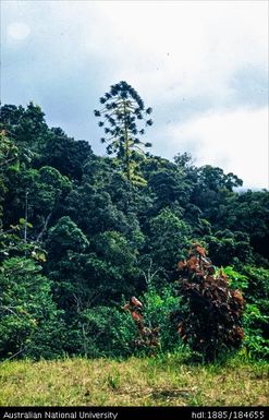 Markham Valley left from 113