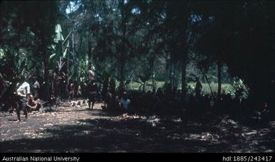 Group sitting in the bush