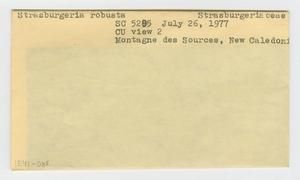 [Strasburgeria robusta in New Caledonia, envelope IE41-088]
