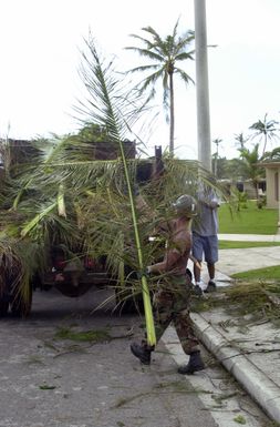 US Navy (USN) Seabees began the cleanup process at Andersen Air Force Base (AB), Guam, in the aftermath of Typhoon Chata'an. The typhoon created peak wind gusts of 104 miles per hour (mph), which scattered debris and trees causing damage to buildings, houses, and vehicles