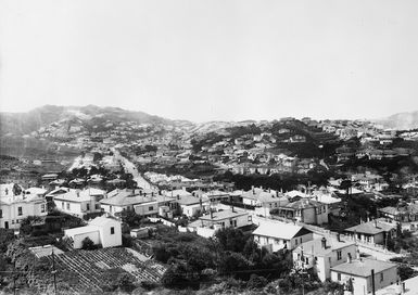 Overlooking Kilbirnie and Hataitai, Wellington