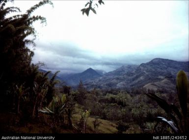 View of the landscape