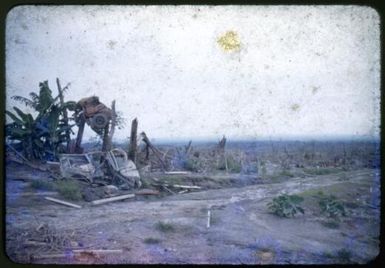 Jeep up tree, Higaturu [i.e Higataru], 1951 / Albert Speer