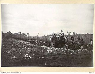 JACQUINOT BAY, NEW BRITAIN, 1945-08-20. A MEMBER OF 2 INDEPENDENT FARM PLATOON, AUSTRALIAN ARMY SERVICE CORPS, USING A TRACTOR AND PLOUGH TO PREPARE GROUND FOR VEGETABLE PLANTING