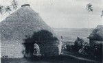 A hut in Wé, Lifou island