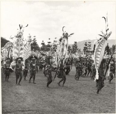 New Guinea highlanders taking part in a sing sing at Goroka, New Guinea, November 1970 / Australian Information Service photograph by W. Pedersen