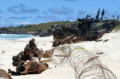 US Marine Corps (USMC) Marines, 3rd Battalion, 3rd Marine Regiment and their AAV7A1 Assault Amphibian Vehicles (AAV) land on the beach following a mechanized raid in support of exercise Rim of the Pacific 2004 (RIMPAC 2004). RIMPAC is the largest international maritime exercise in the waters around the Hawaiian Islands. This years exercise includes seven participating nations; Australia, Canada, Chile, Japan, South Korea, the United Kingdom and the United States. RIMPAC is intended to enhance the tactical proficiency of participating units in a wide array of combined operations at sea, while enhancing stability in the Pacific Rim region