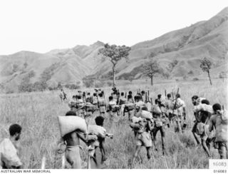 NEW GUINEA. 8 NOVEMBER 1943. PAPUAN INFANTRY UNIT PATROL SETS OUT INTO THE MOUNTAINS