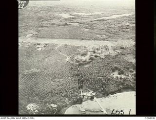New Guinea. C. 1944. Aerial view