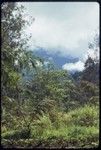 Western Highlands: vegetation and cloud-obscured mountains