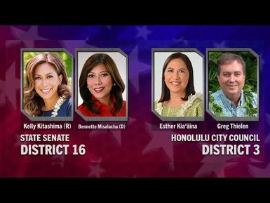 Election 2020 | State Senate District 16 & Hon. City Council District 3 | INSIGHTS ON PBS HAWAIʻI