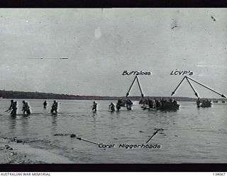 NEW BRITAIN. ARAWE BEACH HAD A FRINGING REEF 50-100 YARDS WIDE THAT WAS STUDDED WITH CORAL NIGGERHEADS (SEEN IN FOREGROUND). SMALL LANDING CRAFT VEHICLES ARE GROUNDED 30-50 YARDS OFFSHORE AT HIGH ..