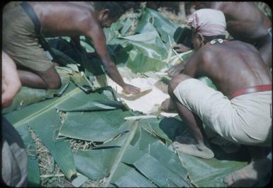 The bottom layer is being spread : Wahgi Valley, Papua New Guinea, 1954 and 1955 / Terence and Margaret Spencer