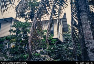 Fiji - white building with palm trees