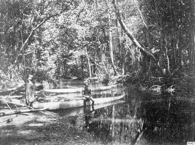 Swamps, Canoes, Photography