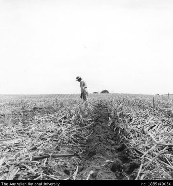 Trash conservation, Moto Estate