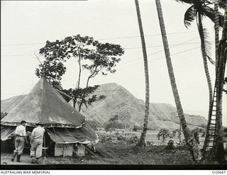 NADZAB, NEW GUINEA. C. 1944-02. NO. 24 MEDICAL CLEARING STATION RAAF TENT WARDS AMIDST THE PALM TREES. THIS IS A RAAF HOSPITAL WITH SIXTY BEDS, FULLY MOBILE, AND WAS FLOWN INTO THIS AREA BY SIXTEEN ..