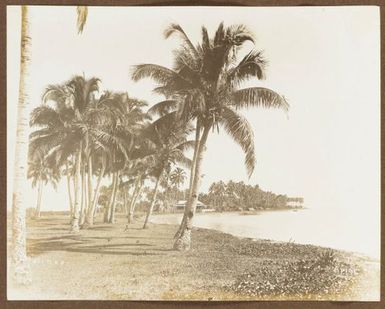 Mulinu'u. From the album: Samoa