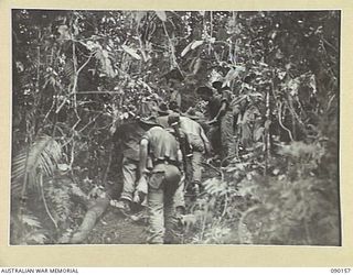 DAGUA, NEW GUINEA. 1945-03-27. 2/2 INFANTRY BATTALION STRETCHER BEARERS GOING UP A STEEP GRADE AND RECEIVING ASSISTANCE FROM MEN BEHIND TO PREVENT THE CARRIERS SLIPPING BACKWARDS