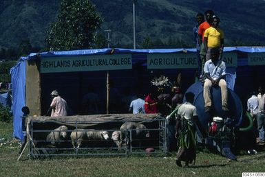 ["fotografi, photograph"]