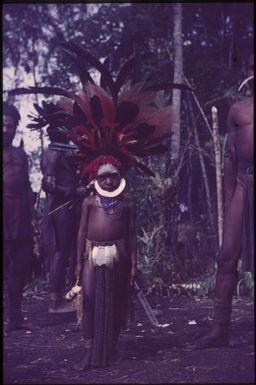 Initiation of the boys (6) : singsing ground of the Kukiga Clan, Wahgi Valley, Papua New Guinea, 1955 / Terence and Margaret Spencer
