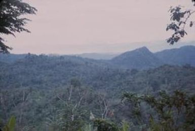 [Landscape of tropical rainforest in Morobe Province, Papua New Guinea]