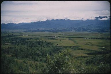 Minj Station, showing the airstrip : Minj Station, Wahgi Valley, Papua New Guinea, 1954 / Terence and Margaret Spencer