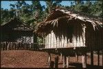 Men's house, left, and cat in doorway of raised house probably built for younger men