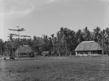 [Village scene showing buildings with thatch roofing and palm trees]