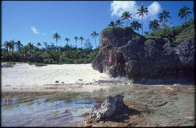 Beach, ocean and palm trees.