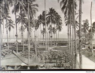 Astrolabe Bay, Madang, New Guinea, c. 1944. Buildings and tents of Headquarters, RAAF Northern Command (NORCOM), nestle among rows of tropical palm trees on the shores of Astrolabe Bay. The trunk ..