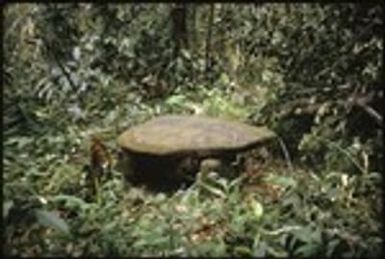Sacrificial stone