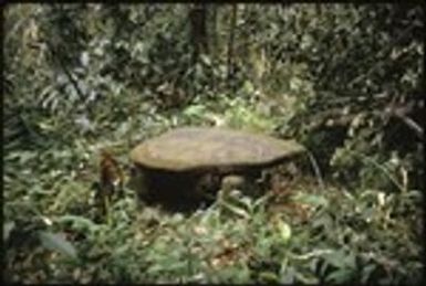 Sacrificial stone