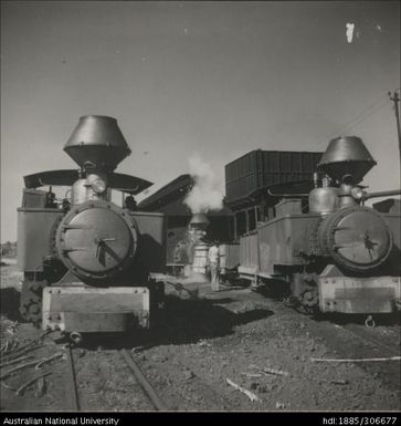 Cane Trains