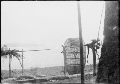 Fish trap on a beach, New Guinea, ca. 1929 / Sarah Chinnery