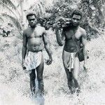 Bushmen of the New Hebrides, Espiritu Santo island