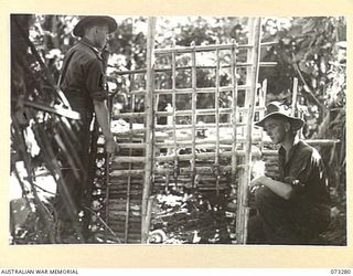 ALEXISHAFEN, NEW GUINEA. 1944-05-17. Q269372 PRIVATE E. BURTON (1), AND NX136534 PRIVATE J.W. TRIM (2), MEMBERS OF THE 35TH INFANTRY BATTALION SETTING TRAPS FOR WILD PIGS NEAR THE REMPI RIVER NORTH ..