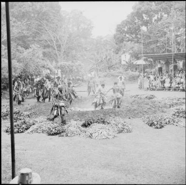 The end of the fire walk by Fijian men, dressed in traditional costumes, Fiji, 1966 / Michael Terry