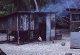 Cooking house, Rongelap Island, August 24, 1964